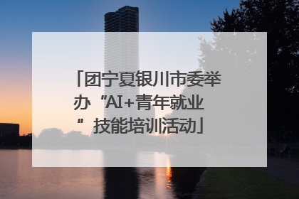 团宁夏银川市委举办“AI+青年就业”技能培训活动