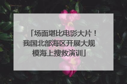 场面堪比电影大片！我国北部海区开展大规模海上搜救演训