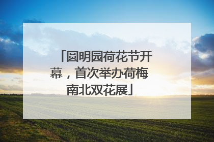 圆明园荷花节开幕，首次举办荷梅南北双花展