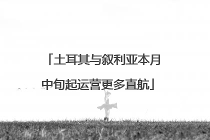 土耳其与叙利亚本月中旬起运营更多直航