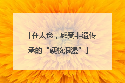 在太仓，感受非遗传承的“硬核浪漫”