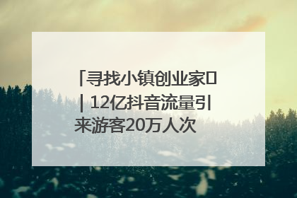 寻找小镇创业家㊱｜12亿抖音流量引来游客20万人次 “襄阳许三多”爆改家乡打造网红村