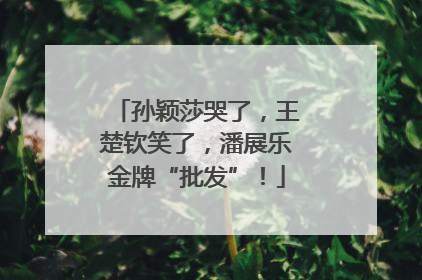 孙颖莎哭了，王楚钦笑了，潘展乐金牌“批发”！