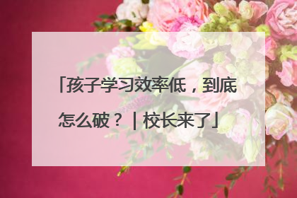 孩子学习效率低，到底怎么破？｜校长来了