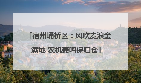 宿州埇桥区：风吹麦浪金满地 农机轰鸣保归仓