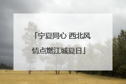 宁夏同心 西北风情点燃江城夏日