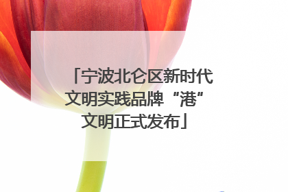 宁波北仑区新时代文明实践品牌“港”文明正式发布