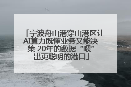宁波舟山港穿山港区让AI算力既懂业务又能决策 20年的数据“喂”出更聪明的港口