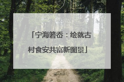 宁海箬岙：绘就古村食安共富新图景