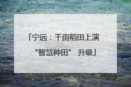 宁远：千亩稻田上演 “智慧种田” 升级