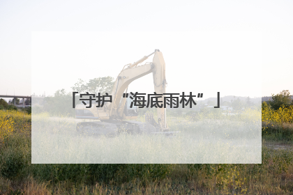 守护“海底雨林”