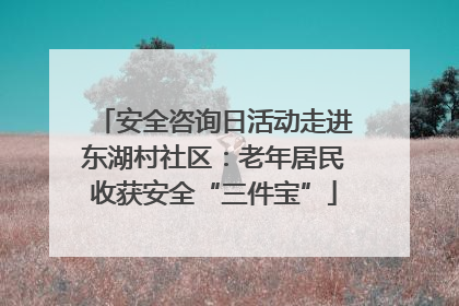 安全咨询日活动走进东湖村社区：老年居民收获安全“三件宝”