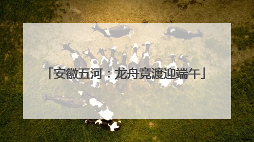 安徽五河：龙舟竞渡迎端午