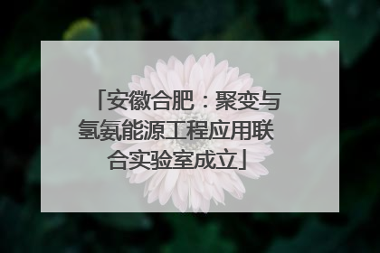安徽合肥：聚变与氢氨能源工程应用联合实验室成立