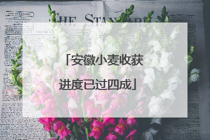 安徽小麦收获进度已过四成