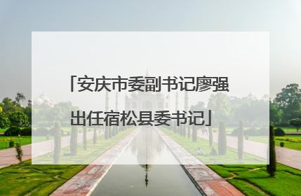安庆市委副书记廖强出任宿松县委书记