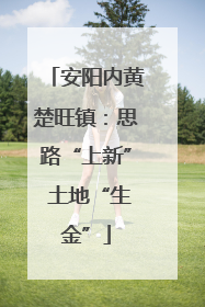 安阳内黄楚旺镇：思路“上新” 土地“生金”
