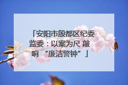 安阳市殷都区纪委监委：以案为尺 敲响 “廉洁警钟”