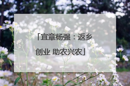 宜章杨强：返乡创业 助农兴农