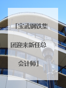 宝武钢铁集团迎来新任总会计师