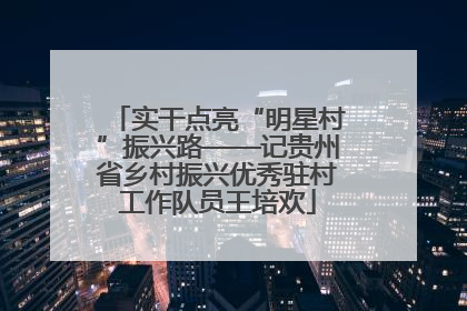 实干点亮“明星村”振兴路——记贵州省乡村振兴优秀驻村工作队员王培欢