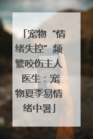 宠物“情绪失控”频繁咬伤主人 医生：宠物夏季易情绪中暑