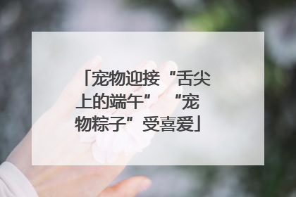 宠物迎接“舌尖上的端午” “宠物粽子”受喜爱