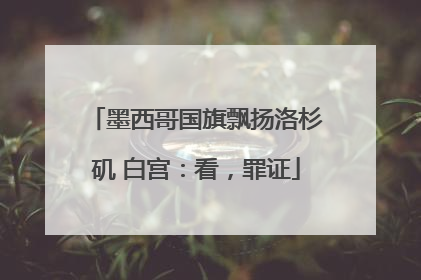 墨西哥国旗飘扬洛杉矶 白宫：看，罪证