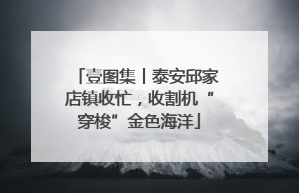 壹图集丨泰安邱家店镇收忙，收割机“穿梭”金色海洋