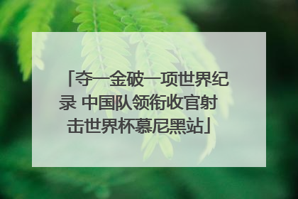 夺一金破一项世界纪录 中国队领衔收官射击世界杯慕尼黑站