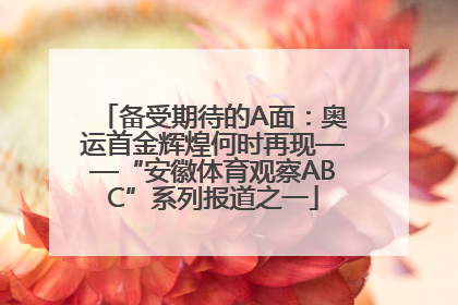备受期待的A面：奥运首金辉煌何时再现——“安徽体育观察ABC”系列报道之一