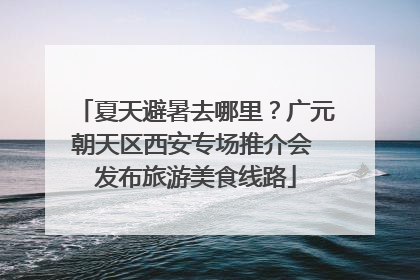 夏天避暑去哪里？广元朝天区西安专场推介会 发布旅游美食线路
