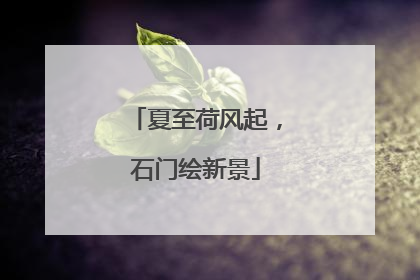 夏至荷风起，石门绘新景