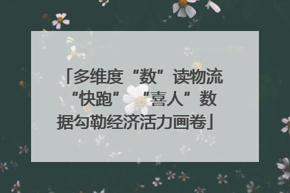 多维度“数”读物流“快跑” “喜人”数据勾勒经济活力画卷