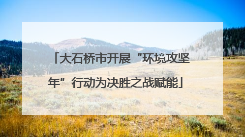 大石桥市开展“环境攻坚年”行动为决胜之战赋能