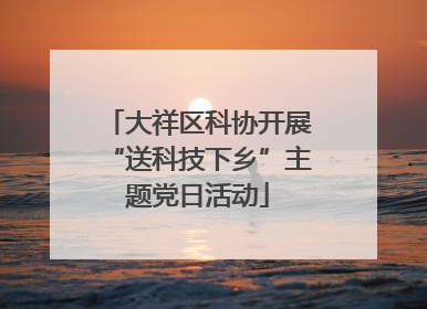 大祥区科协开展“送科技下乡”主题党日活动