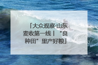 大众观察·山东麦收第一线丨“良种田”里产好粮
