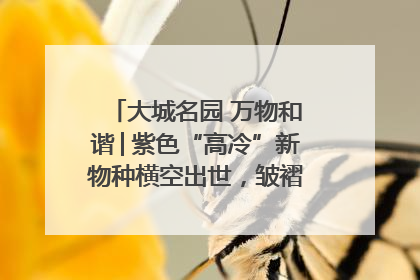 大城名园 万物和谐│紫色“高冷”新物种横空出世，皱褶叶片暗藏进化密码