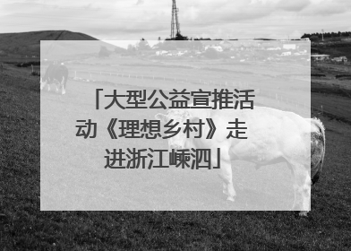 大型公益宣推活动《理想乡村》走进浙江嵊泗