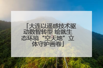 大连以遥感技术驱动数智转型 绘就生态环境“空天地”立体守护画卷