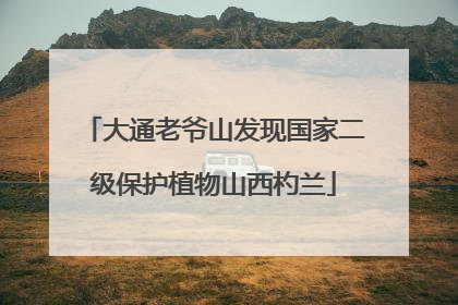 大通老爷山发现国家二级保护植物山西杓兰