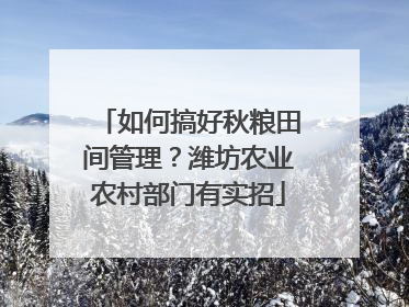 如何搞好秋粮田间管理？潍坊农业农村部门有实招