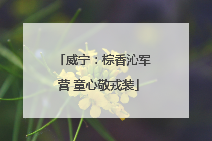 威宁：棕香沁军营 童心敬戎装