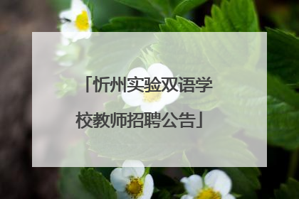 忻州实验双语学校教师招聘公告