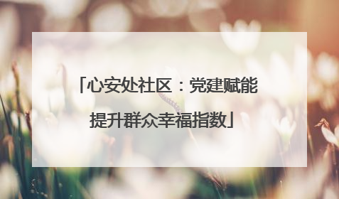 心安处社区：党建赋能 提升群众幸福指数