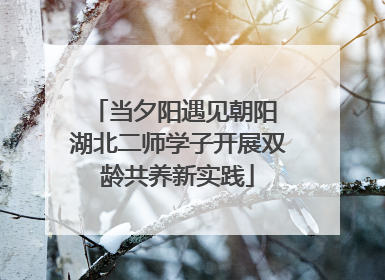 当夕阳遇见朝阳 湖北二师学子开展双龄共养新实践