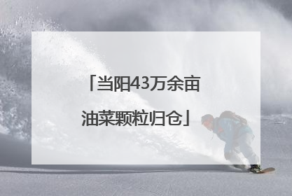 当阳43万余亩油菜颗粒归仓