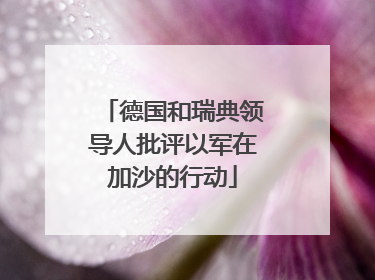 德国和瑞典领导人批评以军在加沙的行动