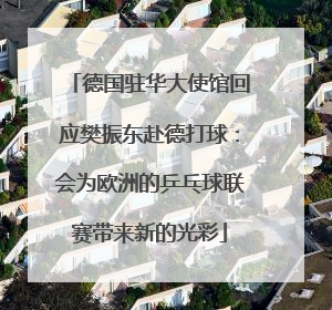 德国驻华大使馆回应樊振东赴德打球：会为欧洲的乒乓球联赛带来新的光彩