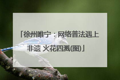 徐州睢宁：网络普法遇上非遗 火花四溅(图)